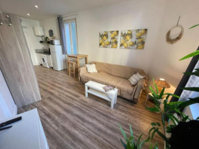 Joli Studio RDC à 100m des plages